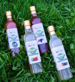 4'lü Sirke Kampanyası (Elma, Üzüm, Ananas ve Çam Kozalağı Sirkesi)