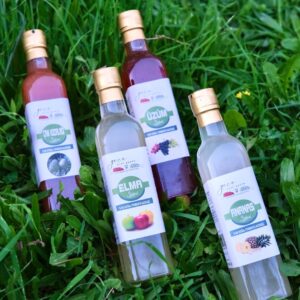 4'lü Sirke Kampanyası (Elma, Üzüm, Ananas ve Çam Kozalağı Sirkesi)