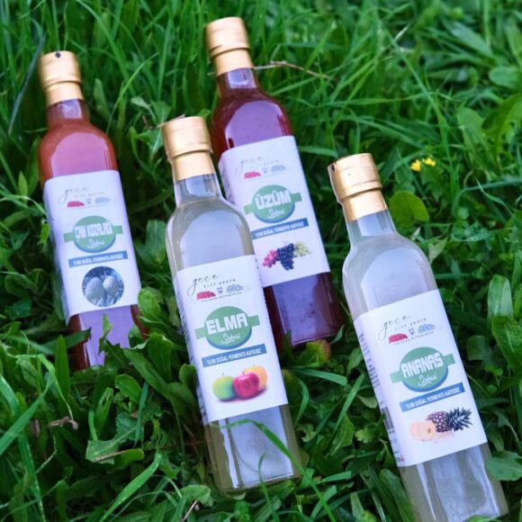 4'lü Sirke Kampanyası (Elma, Üzüm, Ananas ve Çam Kozalağı Sirkesi)